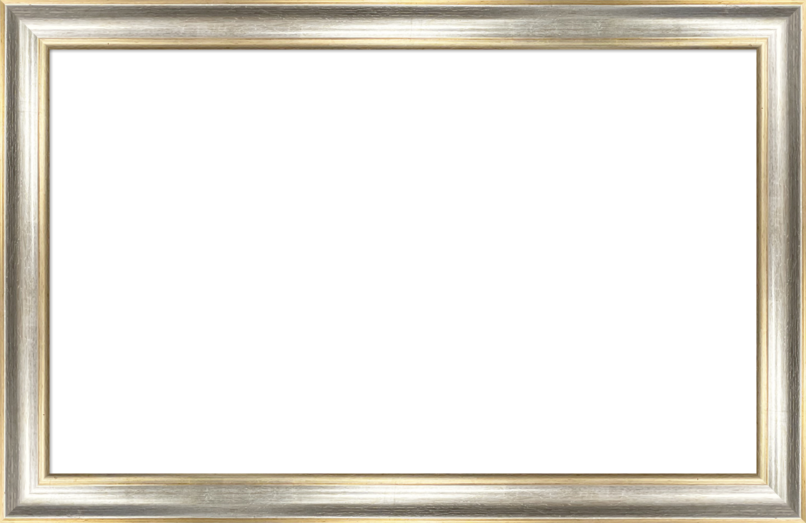 Cornice liscia per diplomi argento-43x55 cm 454-arg-sp-43x55 cm